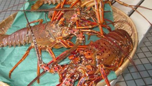 aboutus_img02