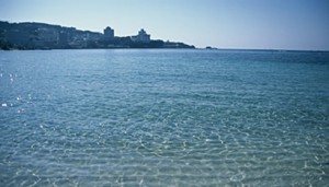 bnr_img005