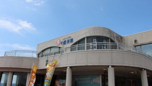 senjou_img01